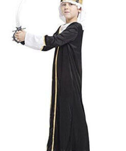 Alternative view of Arabian King Prince Costumes