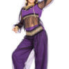 Rubies Costume Harem Princess - Jasmine Purple Dress Costume With Headband