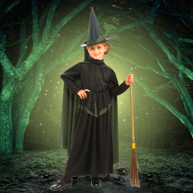 Alternative view of The Wicked Witch Of West Costume for Kids
